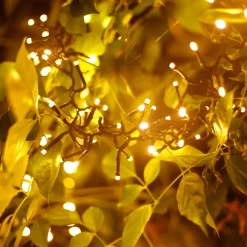 Aigostar Kerstlichtsnoeren^ Led Lichtsnoer - Lichtslinger - Led Lampjes Slinger - 7,5 Watt - 500 Leds - 10M - Warm Wit - Ip44