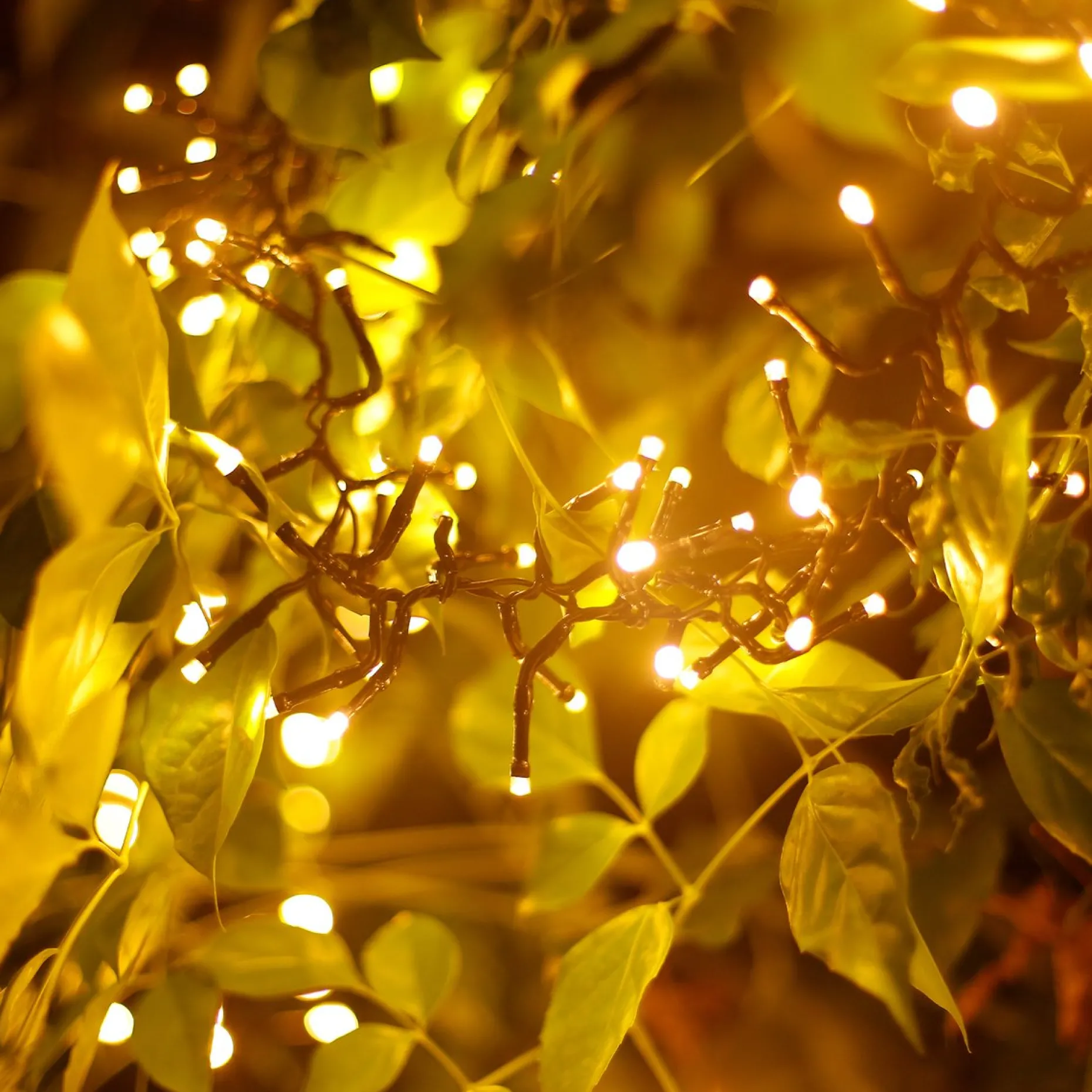 Aigostar Kerstlichtsnoeren^ Led Lichtsnoer - Lichtslinger - Led Lampjes Slinger - 7,5 Watt - 500 Leds - 10M - Warm Wit - Ip44