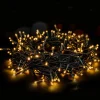 Aigostar Kerstlichtsnoeren^ Led Lichtsnoer - Lichtslinger - Led Lampjes Slinger - 4.5 Watt - 250 Leds - 10M - Ip44