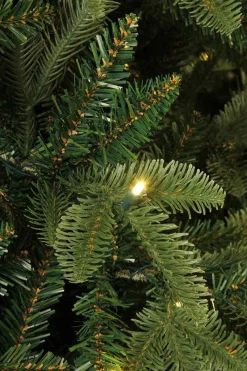 Black Box Kunstkerstbomen^ Bolton Kerstboom Met Warmwit Led Groen 320 Lampjes Tips 2980 Maat In Cm: 230 X 145 - Groen