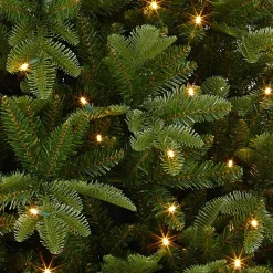 Black Box Kunstkerstbomen^ Bolton Kerstboom Met Warmwit Led Groen 320 Lampjes Tips 2980 Maat In Cm: 230 X 145 - Groen