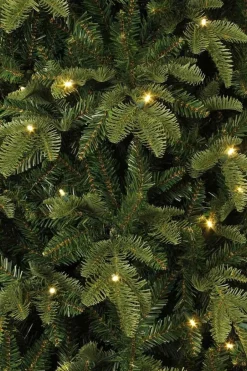 Black Box Kunstkerstbomen^ Bolton Kerstboom Met Warmwit Led Groen 320 Lampjes Tips 2980 Maat In Cm: 230 X 145 - Groen