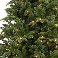 Black Box Kunstkerstbomen^ Bolton Kerstboom Met Warmwit Led Groen 320 Lampjes Tips 2980 Maat In Cm: 230 X 145 - Groen