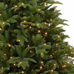 Black Box Kunstkerstbomen^ Bolton Kerstboom Met Warmwit Led Groen 320 Lampjes Tips 2980 Maat In Cm: 230 X 145 - Groen