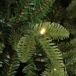 Black Box Kunstkerstbomen^ Bolton Kerstboom Met Warmwit Led Groen 320 Lampjes Tips 2980 Maat In Cm: 230 X 145 - Groen