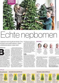 Black Box Kunstkerstbomen^ Frasier Fir Kunstkerstboom - 230 X 147 - Groen