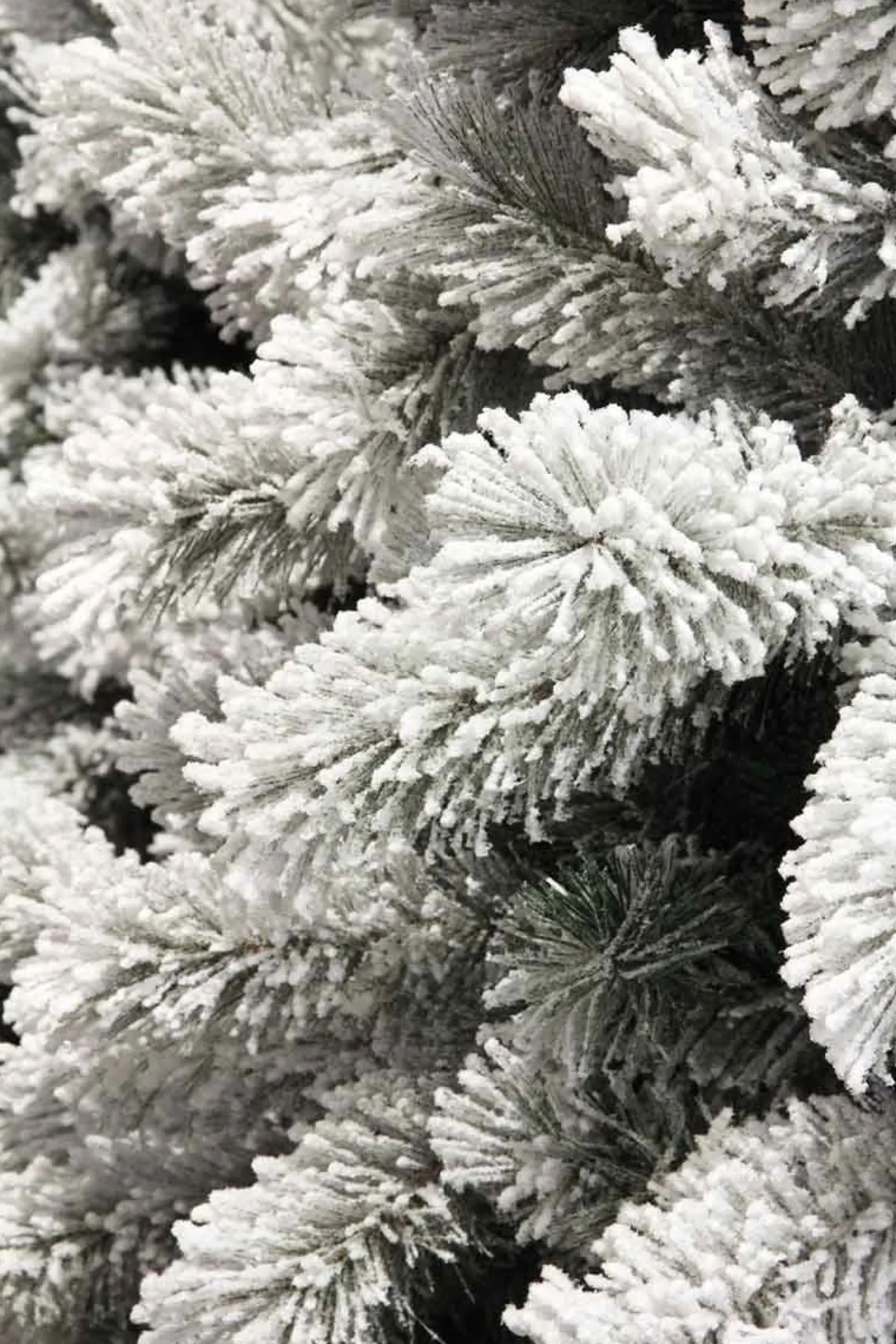 Black Box Kunstkerstbomen^ Kunstkerstboom Medford Maat In Cm: 185 X 99 Besneeuwd Groen - Besneeuwd Groen