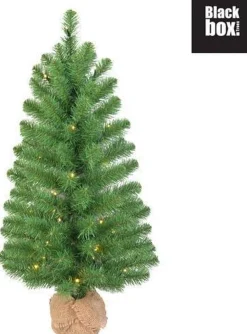 Black Box Kunstkerstbomen^ Kunstkerstboom Met Led Met Jute Op Batterij Roundstone Maat In Cm: 90 X 48 Groen 40 Lampjes Met Warmwit Led - Groen