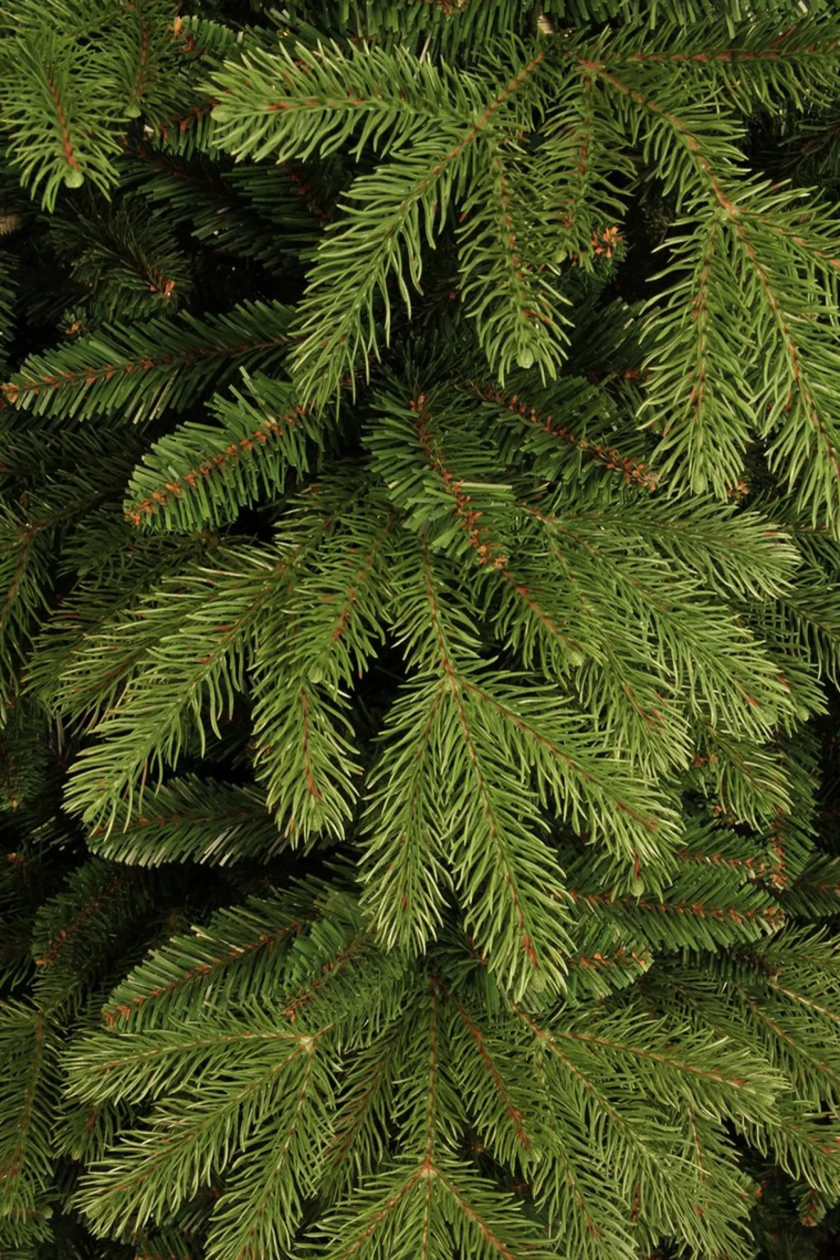 Black Box Kunstkerstbomen^ Trees Brampton Kunstkerstboom - H215 Cm - Groen