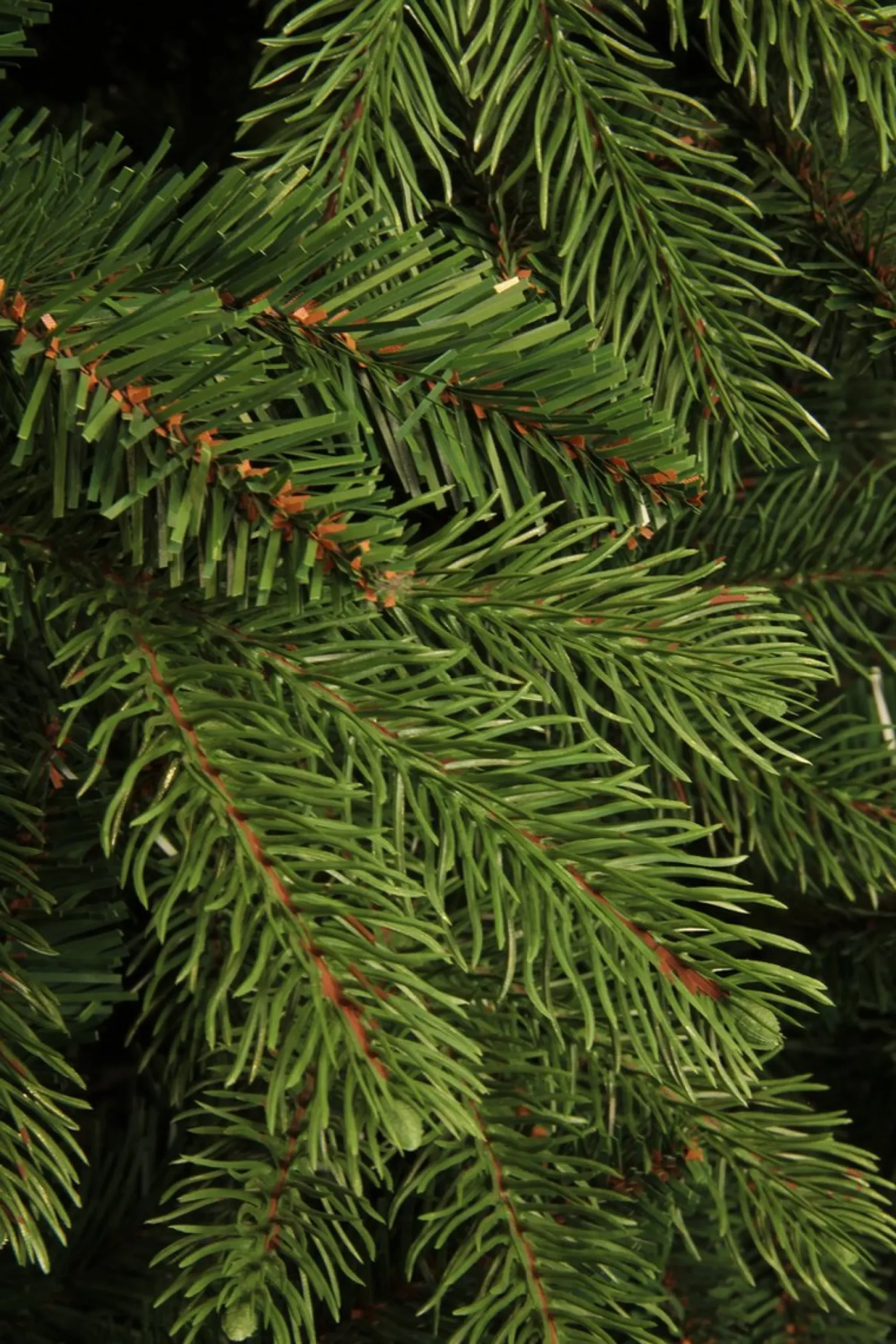Black Box Kunstkerstbomen^ Trees Brampton Kunstkerstboom - H215 Cm - Groen