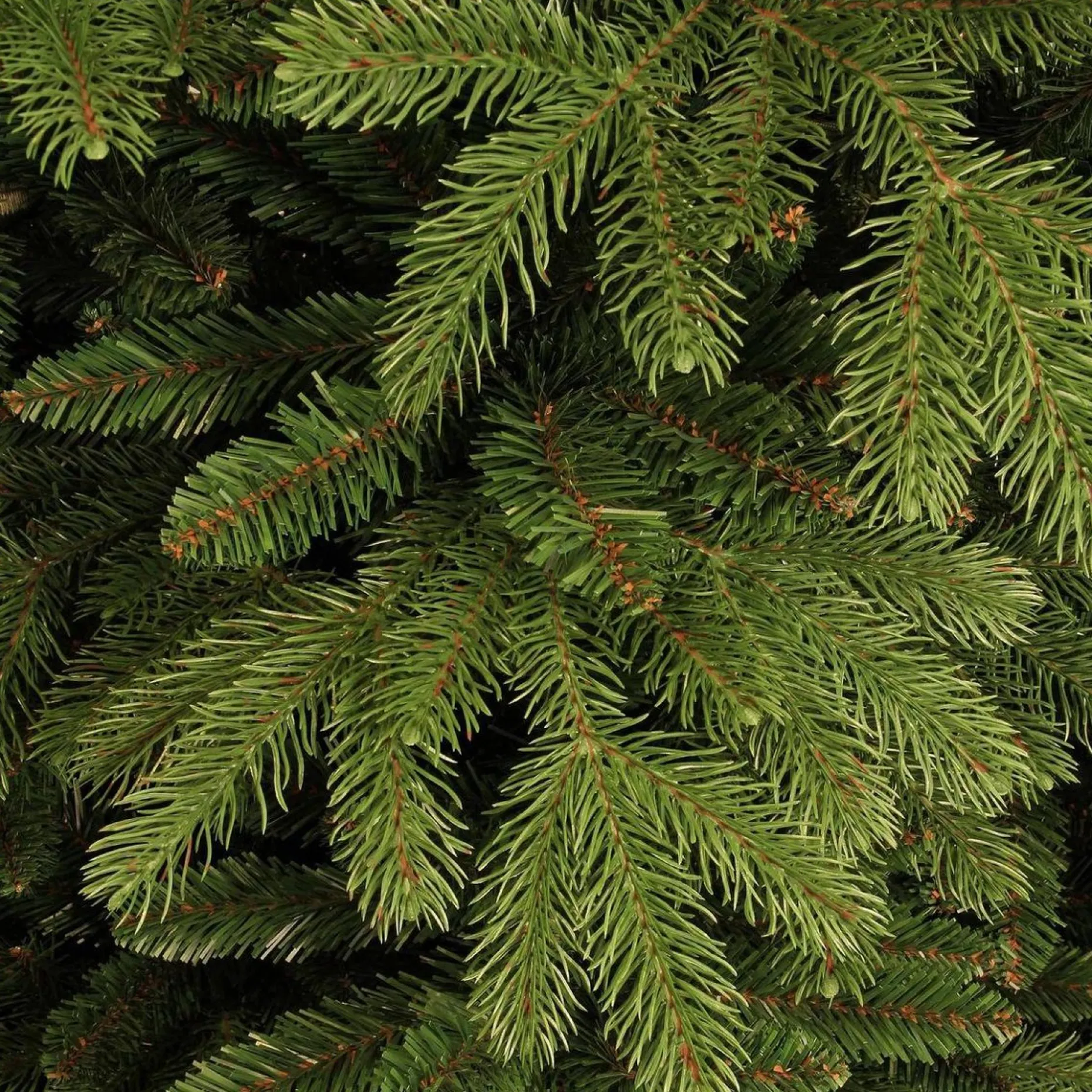 Black Box Kunstkerstbomen^ Trees Brampton Kunstkerstboom - H215 Cm - Groen