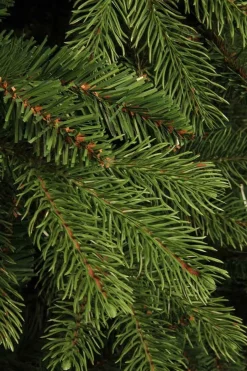 Black Box Kunstkerstbomen^ Trees Brampton Kunstkerstboom - H230 Cm - Groen
