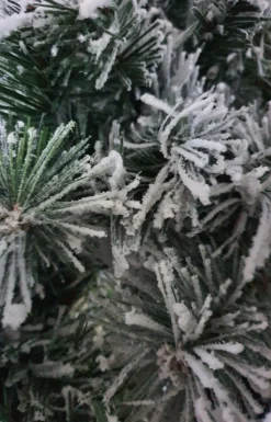 Black Box Trees - Dinsmore Swag-Guirlanda Groen Frosted - L180Xd25Cm Sale