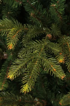 Black Box Kunstkerstbomen^ Trees Frasier Kunstkerstboom - H185 X O124 Cm - Groen