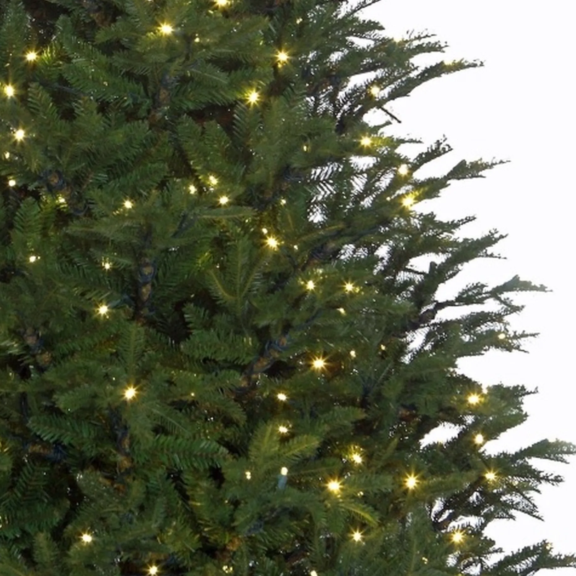 Black Box Kunstkerstbomen^ Trees Frasier Kunstkerstboom Met Led Verlichting - H185 Cm - Groen
