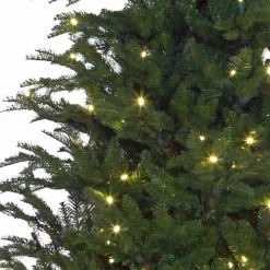 Black Box Kunstkerstbomen^ Trees Frasier Kunstkerstboom Met Led Verlichting - H185 Cm - Groen