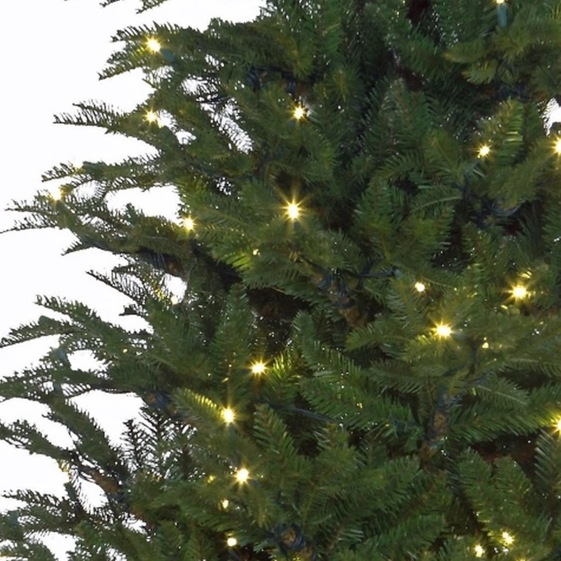 Black Box Kunstkerstbomen^ Trees Frasier Kunstkerstboom Met Led Verlichting - H185 Cm - Groen
