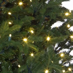 Black Box Kunstkerstbomen^ Trees Frasier Kunstkerstboom Met Led Verlichting - H185 Cm - Groen