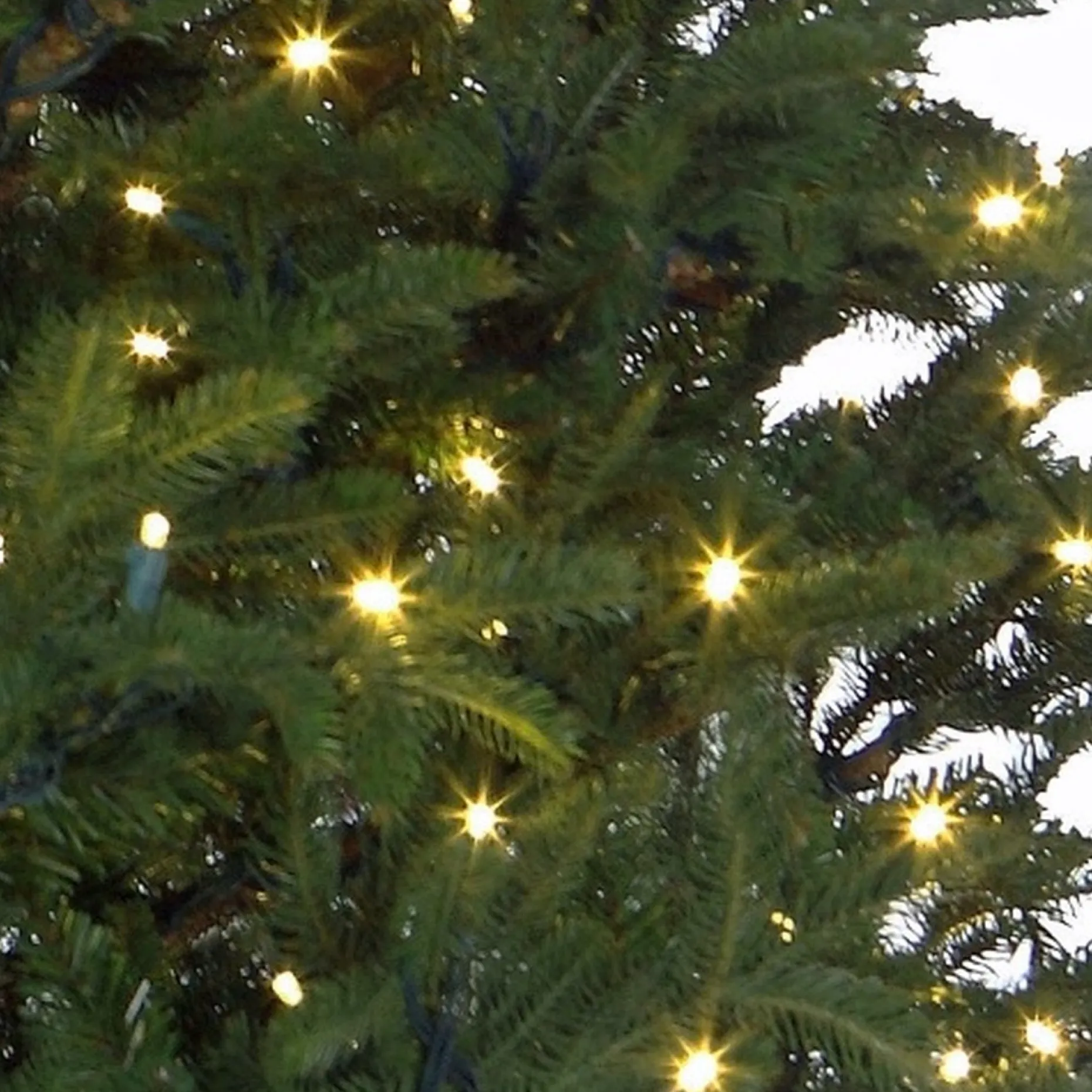 Black Box Kunstkerstbomen^ Trees Frasier Kunstkerstboom Met Led Verlichting - H185 Cm - Groen