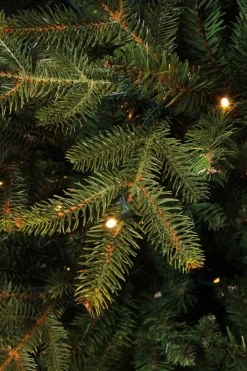 Black Box Kunstkerstbomen^ Trees Frasier Kunstkerstboom Met Led Verlichting - H185 Cm - Groen