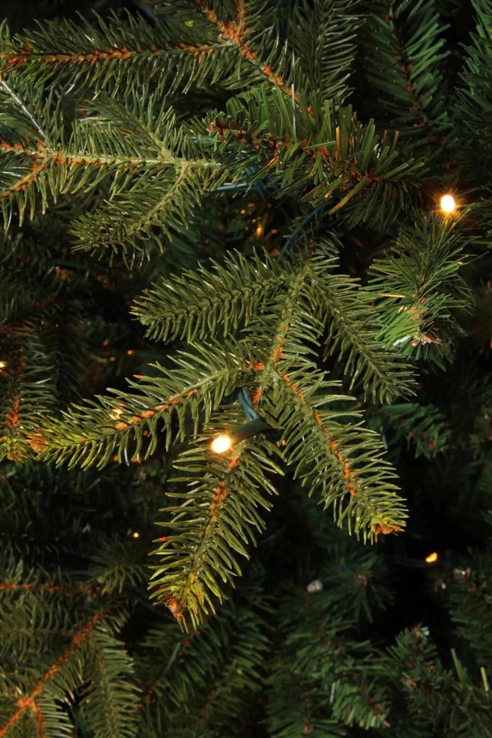 Black Box Kunstkerstbomen^ Trees Frasier Kunstkerstboom Met Led Verlichting - H185 Cm - Groen