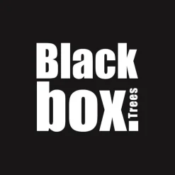 Black Box Trees Glendon Kerstkrans Met Led Verlichting - O60 Cm - Groen Online