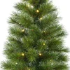 Black Box Kunstkerstbomen^ Trees Glendon Kunstkerstboom In Pot Met 20 Led Lampjes - H60 X O33 Cm - Groen