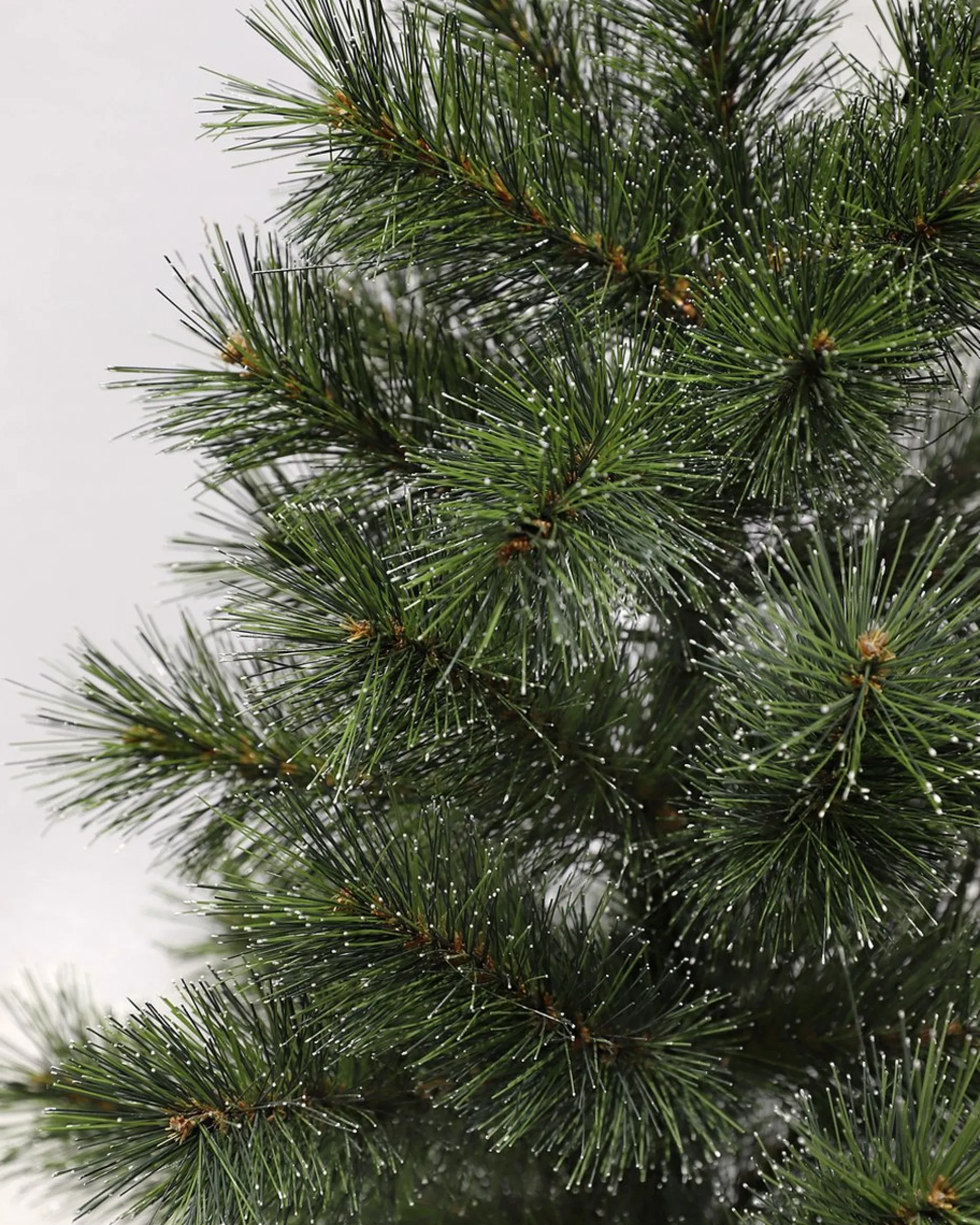 Black Box Kunstkerstbomen^ Trees Glendon Kunstkerstboom In Pot - H90 X O51 Cm - Groen