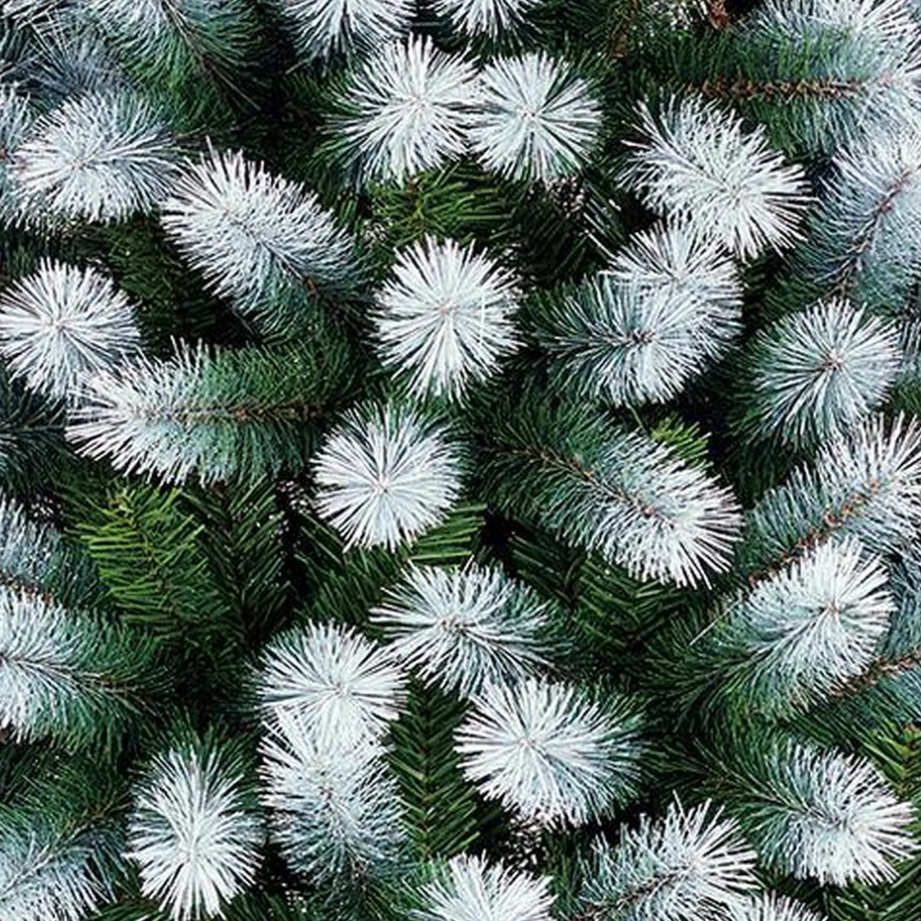 Black Box Kunstkerstbomen^ Trees Kingston Kunstkerstboom - H120 Cm - Frosted Green