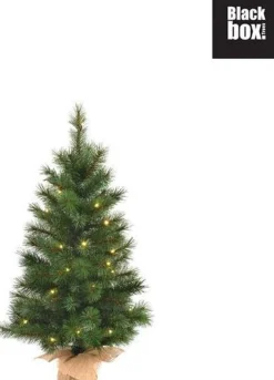 Black Box Kunstkerstbomen^ Trees - Lawson Kerstboom Met Burlap Led Werkt Op Batterijen Groen 40L Tips 102 - H90Xd48Cm - Kerstbomen