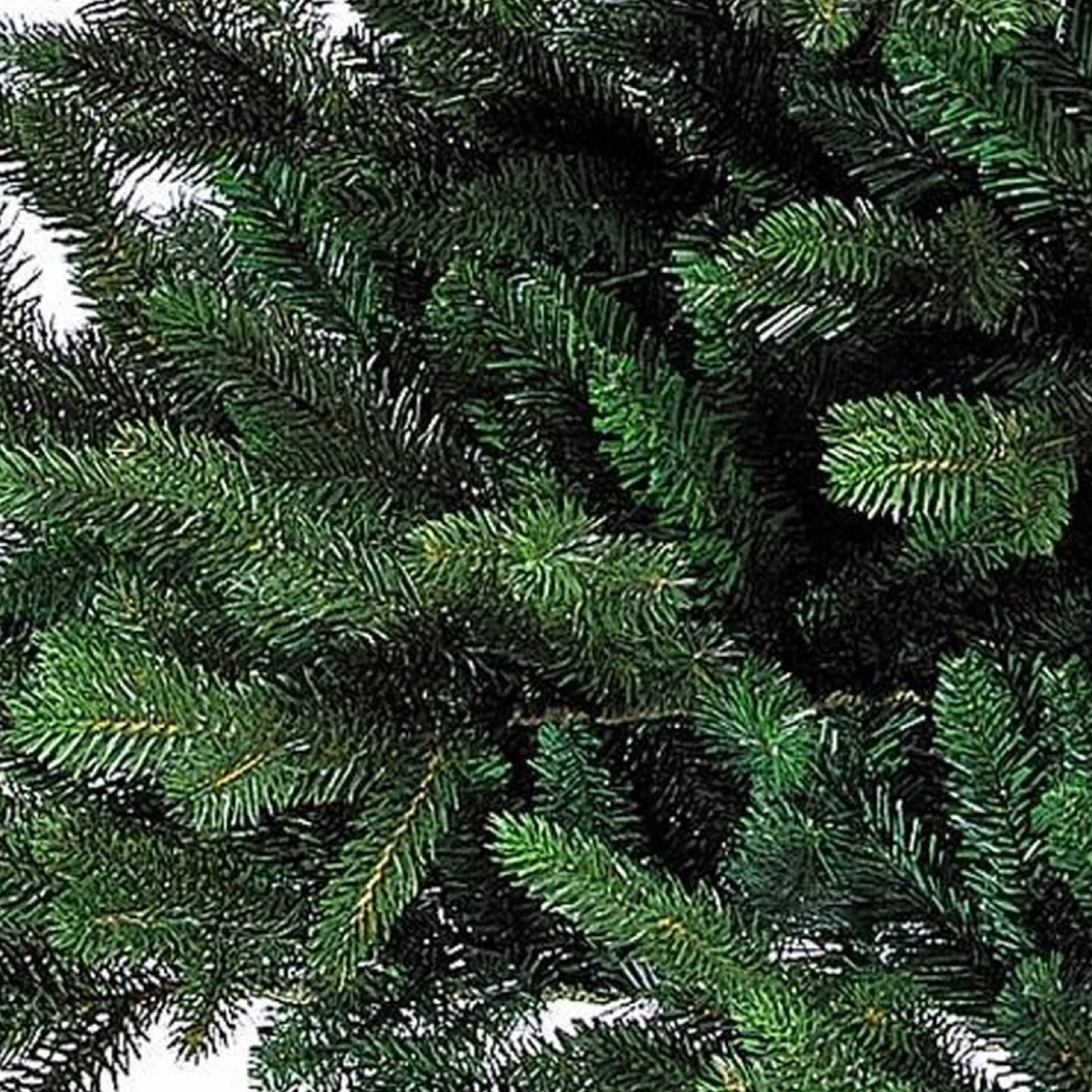 Black Box Kunstkerstbomen^ Trees Macallan Kunstkerstboom - H155 Cm