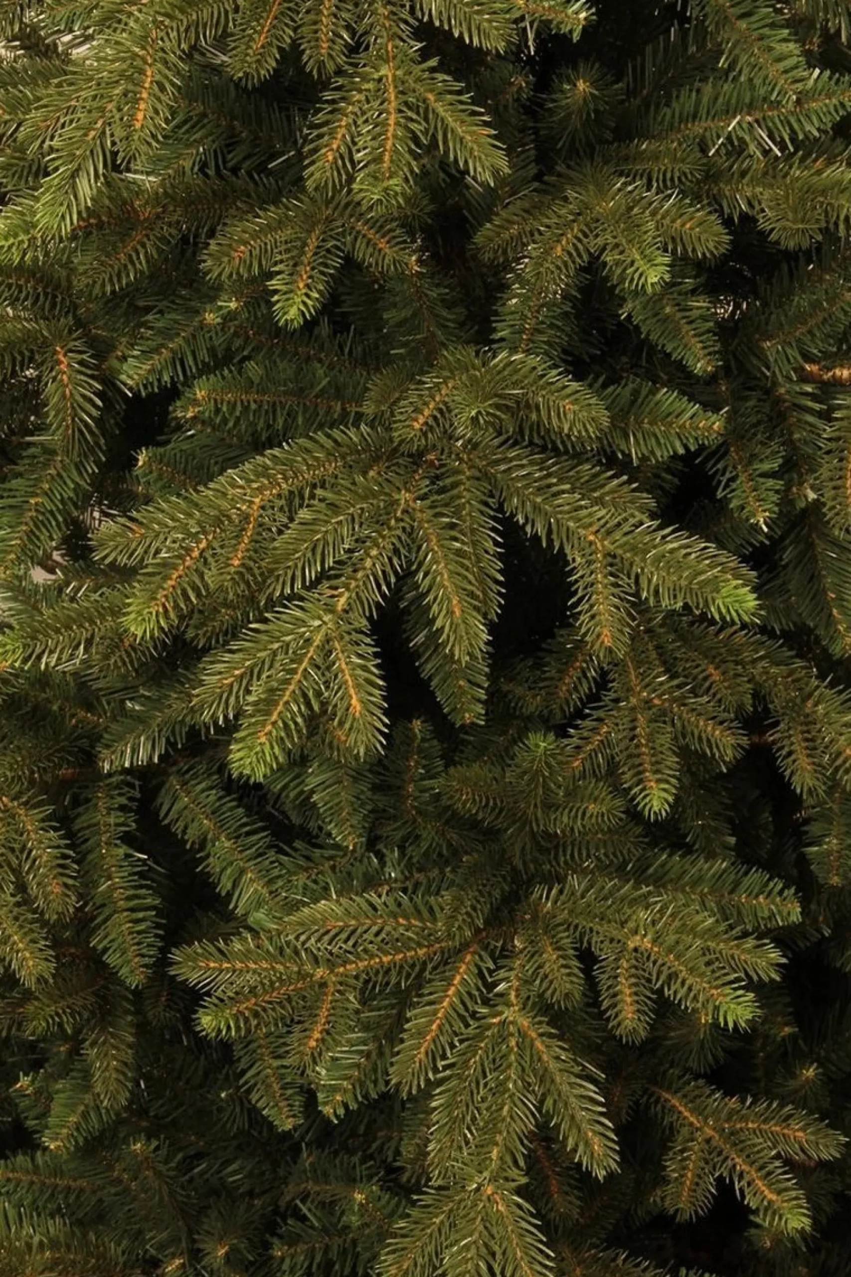 Black Box Kunstkerstbomen^ Trees Macallan Kunstkerstboom - H155 Cm