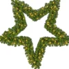 Black Box Trees - Ster Led Groen 96L Tips 375 - D122Cm - Kerstbomen (Europese Stekker ) Store