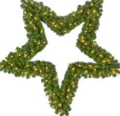 Black Box Trees - Ster Led Groen 96L Tips 375 - D122Cm - Kerstbomen (Europese Stekker ) Store