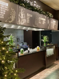 Royal Christmas Dakota Deluxe Guirlande - Lengte 540 Cm - 200 Warm Led Lampjes - Max. 3X Koppelbaar Hot