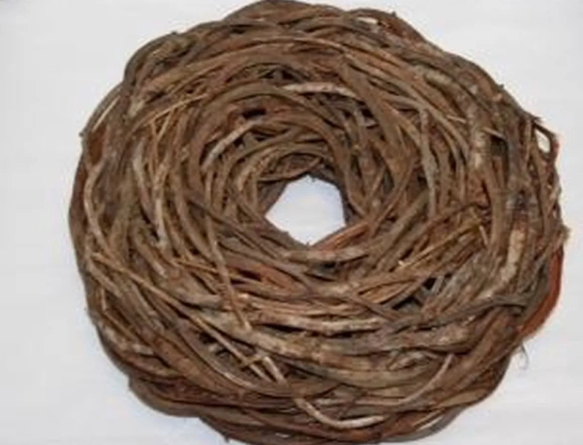 Dbt Krans Landelijk Hout-Wijntakken Bruin D 48 Cm Shop