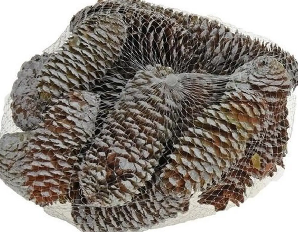 Merkloos Decoratie Dennenappels Bruin/Sneeuw 8 Cm Store