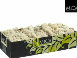 Mica Decorations Decoratie/Hobby Mos Naturel/Wit 500 Gram - Decoratie Materialen Bloemstukjes Best