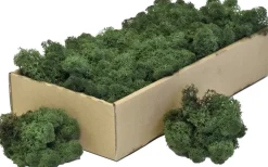 Ottou0027s Kerstaccessoires Doos Rendiermos Donkergroen (500 Gram) - Bloemstuk - Mosschilderij - Decoratie - Otto's Kerstaccessoires - Voordeelverpakking - Kerstdecoratie Sale