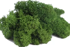 Ottou0027s Kerstaccessoires Doos Rendiermos Donkergroen (500 Gram) - Bloemstuk - Mosschilderij - Decoratie - Otto's Kerstaccessoires - Voordeelverpakking - Kerstdecoratie Sale