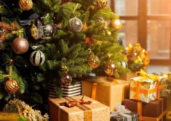 Tuincentrumgigant.nl Echte Kerstbomen^Echte Kerstboom - Nordmann Excellent - Gezaagd Geen Kluit - 200-225Cm 225 Cm