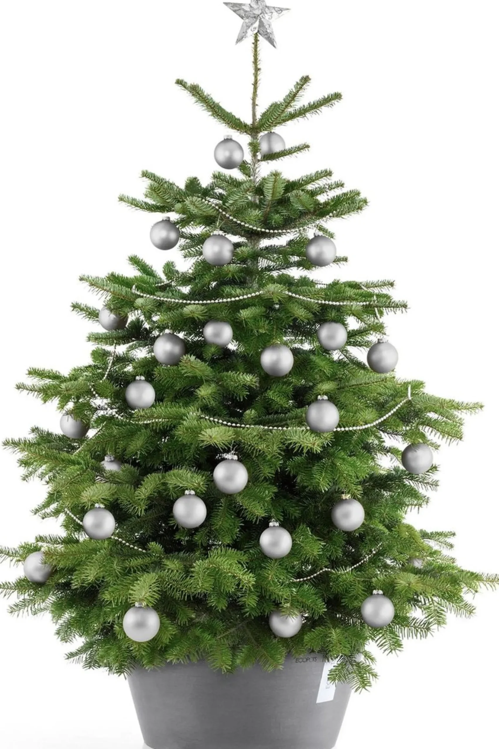 Ecopots Kerstboomstandaarden^ Kerstboomvoet Xl O 50Cm