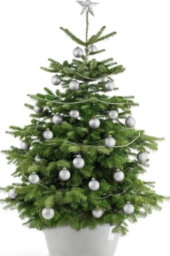 Ecopots Kerstboomstandaarden^ Kerstboomvoet Xl White O 50Cm