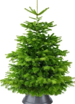 Elho Kerstboomstandaarden^ Nordman 39 - Kerstboomstandaard Voor Binnen - O 39.2 X H 18.0 Cm - Zwart/Antraciet