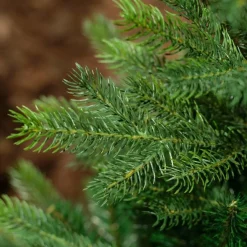 Everlands Kunstkerstbomen^ Grandis Fir Kunstkerstboom 180 Cm - Zonder Verlichting