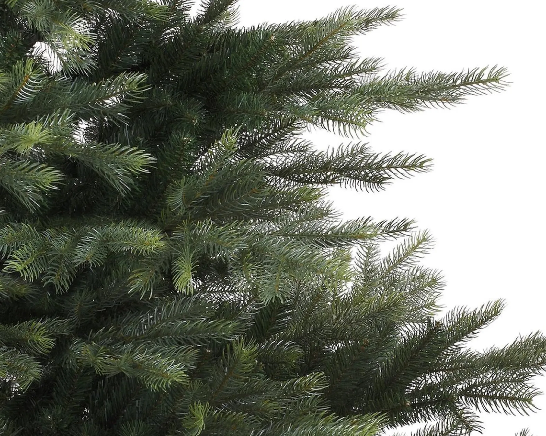 Everlands Kunstkerstbomen^ Grandis Fir Kunstkerstboom 180 Cm - Zonder Verlichting