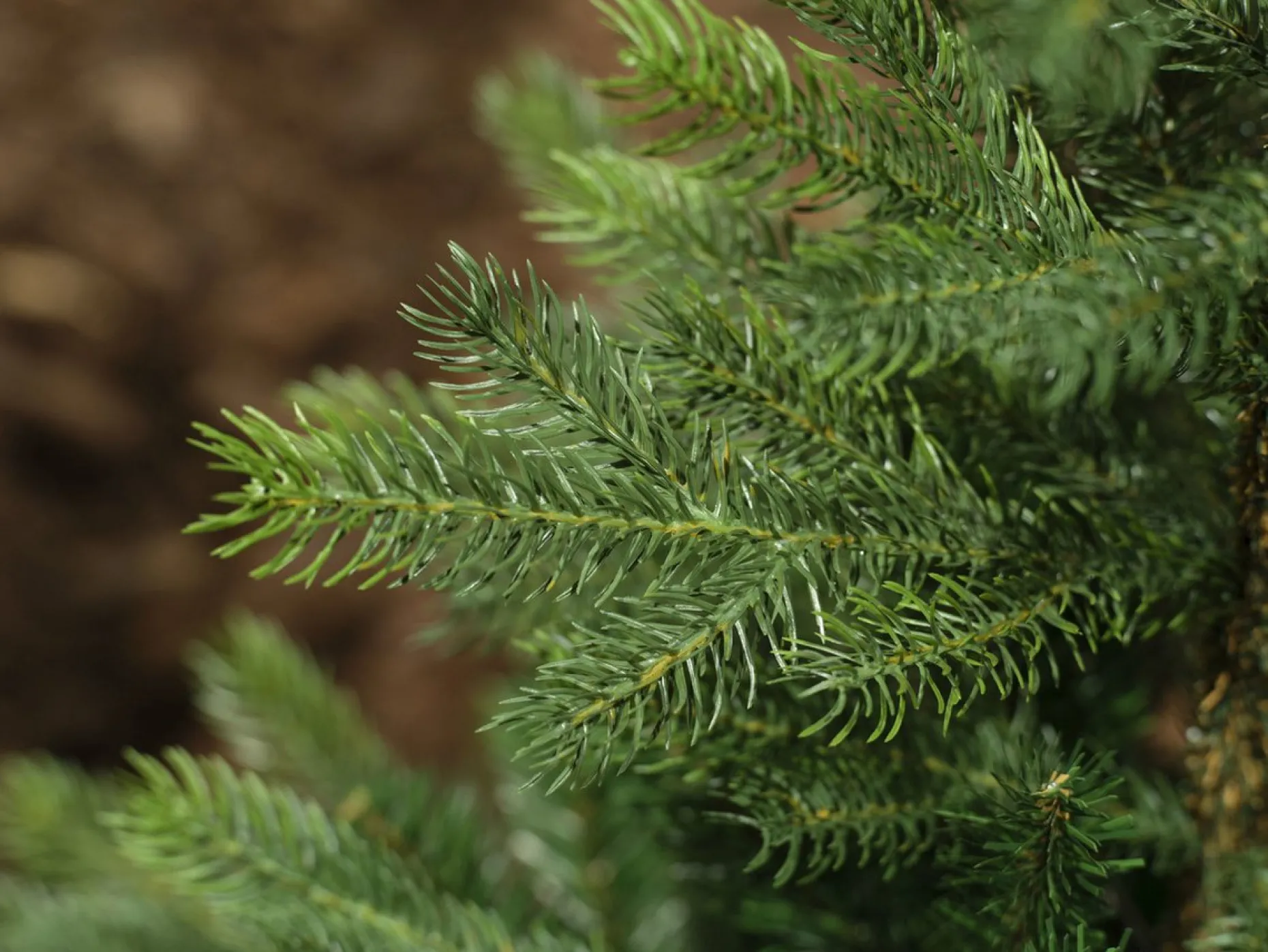 Everlands Kunstkerstbomen^ Grandis Fir Kunstkerstboom 180 Cm - Zonder Verlichting