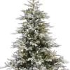 Everlands Kunstkerstbomen^ Grandis Fir Prelit Snowy Groen - Kerstboom - O152Xh210 Cm 550 Led