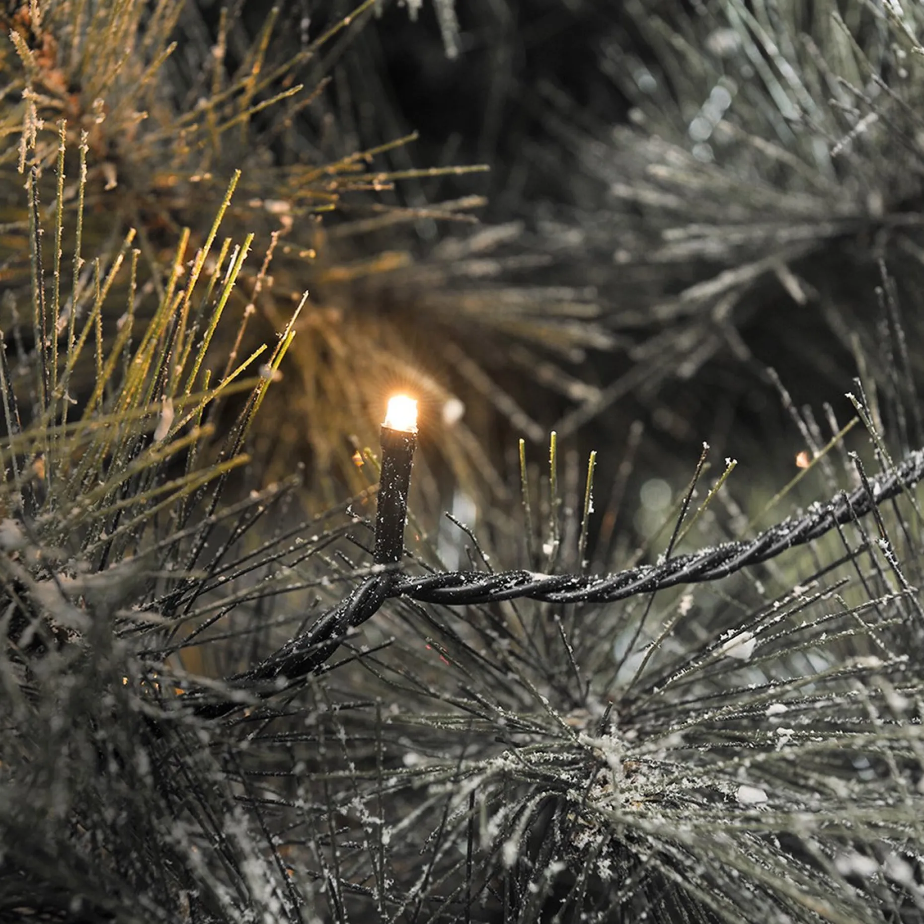 Fedec Kerstboomverlichting^ 500 Leds Kerstverlichting Binnen En Buiten- 15 Meter - Clusterverlichting - Warm Wit