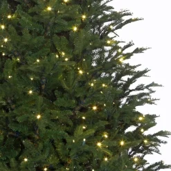 Black Box Kunstkerstbomen^Frasier Fir Led - Groen - Blackbox Kunstkerstboom 155 Cm
